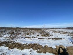 Продаж земельної ділянки під житлову забудову в селі Березина фото 13