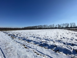 Продаж земельної ділянки під житлову забудову в селі Березина фото 1