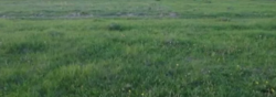 Продаж земельної ділянки під житлову забудову в селі Зарванці, Вінницькій області, площа 10 соток фото 3